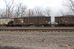 NS 10061